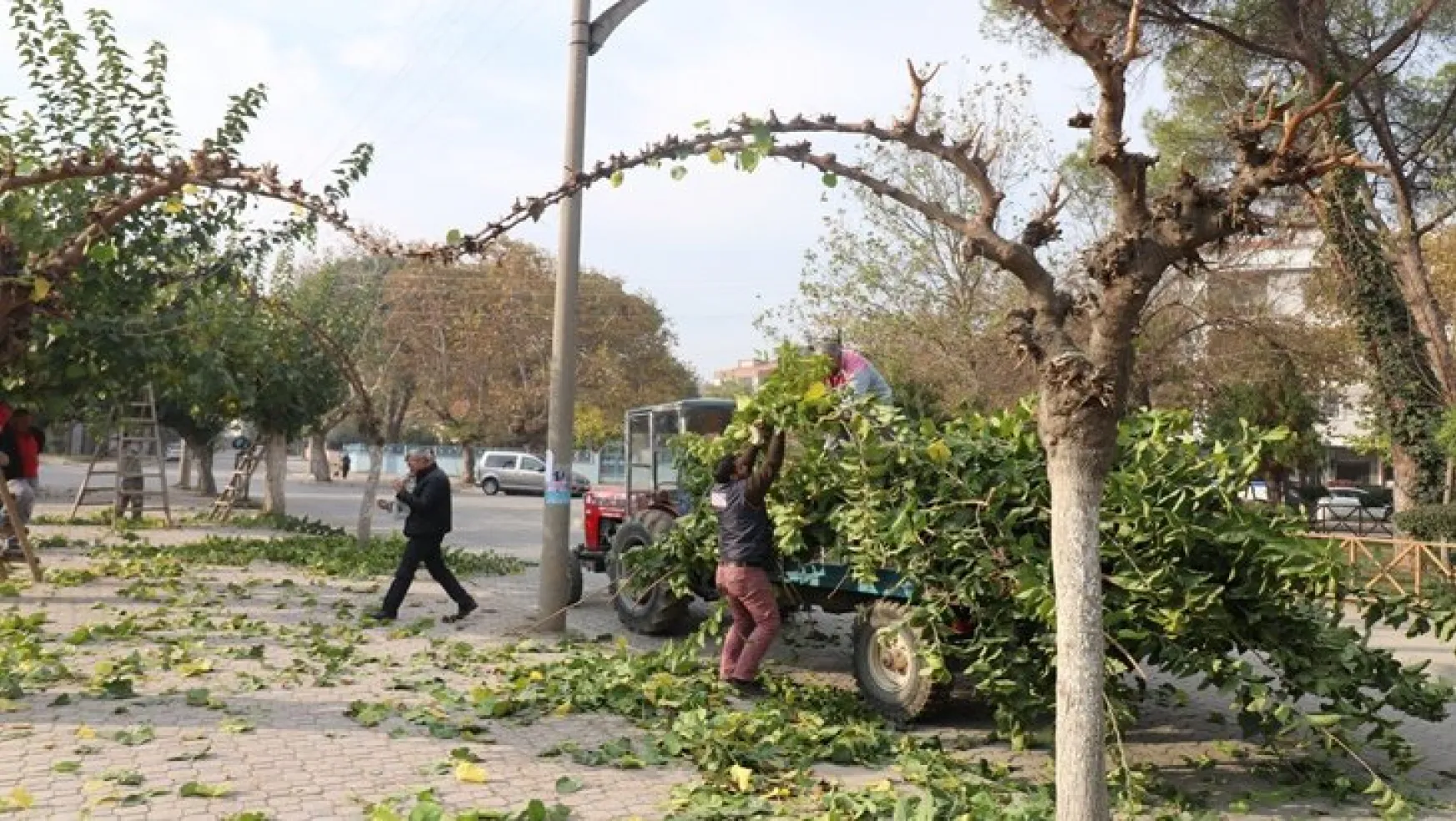 Turgutlu'da Mevsimlik Budama Çalışmalarına Başladı