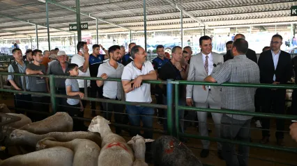 Başkan Zeyrek Canlı Hayvan Borsası'nı Ziyaret Etti