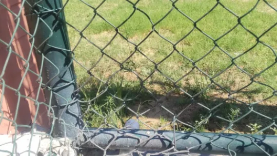 Manisa FK'nın 'Kaçak SU' kullandığı tespit edildi