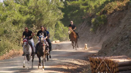 Spil Dağında Safari ve Kamp Keyfi
