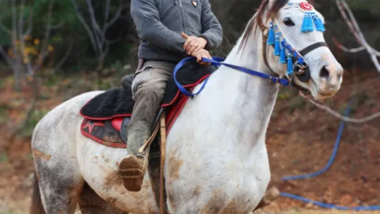 Spil Dağında Safari ve Kamp Keyfi