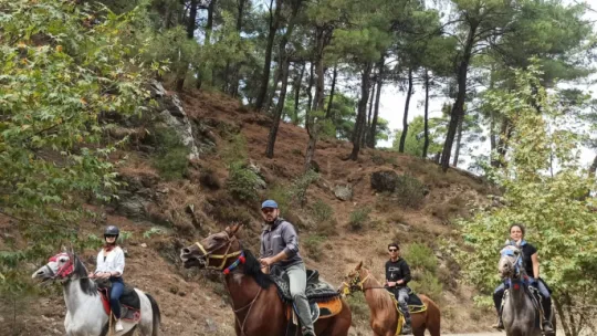 Spil Dağında Safari ve Kamp Keyfi