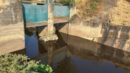Büyükşehir Doğa için Nöbette