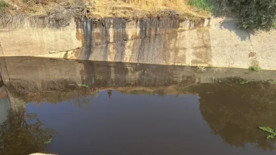Büyükşehir Doğa için Nöbette