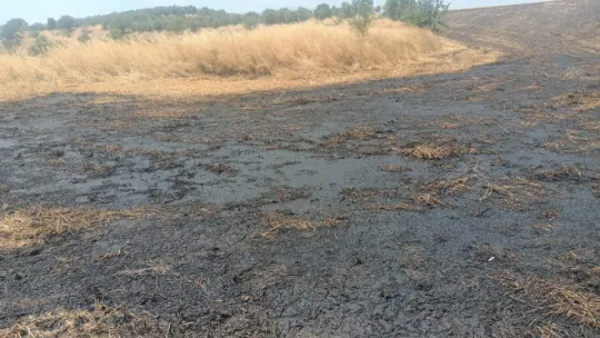 Büyükşehir Doğa için Nöbette