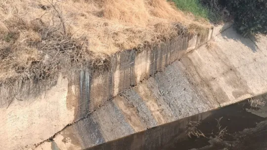 Büyükşehir Doğa için Nöbette
