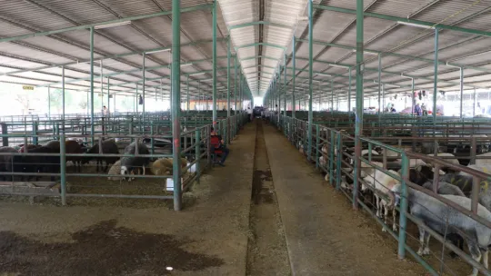 Büyükşehir Kurban Bayramı'na Hazır