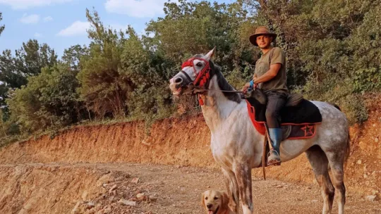 Spil Dağında Safari ve Kamp Keyfi