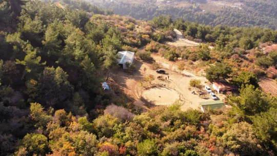 Spil Dağında Safari ve Kamp Keyfi