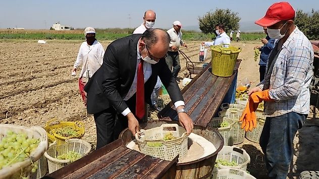 Akın'dan Üzüm Sergi Alanına Ziyaret