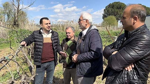 Bağlarını don vuran üzüm üreticileri : 'Manisa Afet Bölgesi İlan Edilsin'