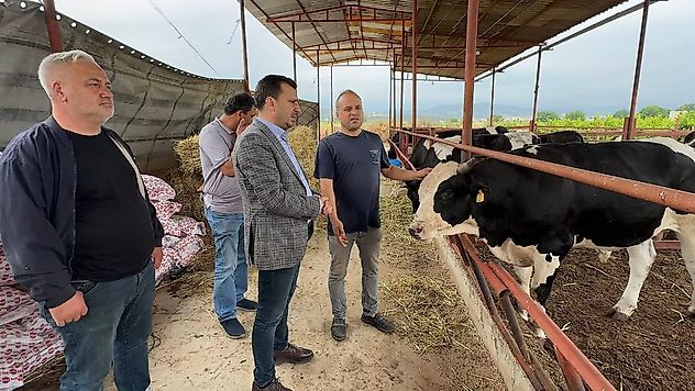 Chp'li Başevirgen'e Dert Yandı : Kurbanlıklar Elden Taksitle Satılıyor