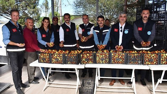 Demirci Söğütçük'te Hünnap Hasat Sezonu Açıldı