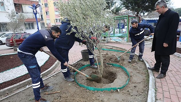 Hem Doğaya Katkı Hem Estetik Görünüm İçin Kuru Peyzaj