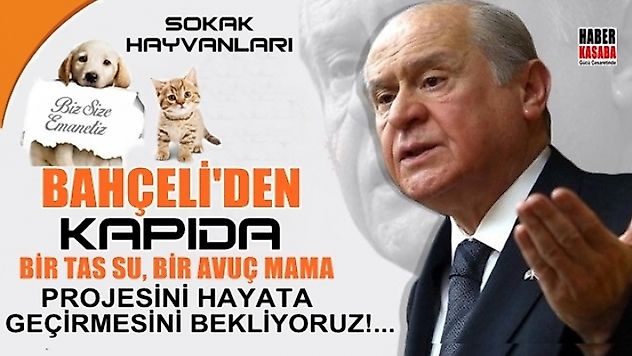 BİR TAS SU, BİR AVUÇ MAMA' projesi hayata geçirilmelidir...