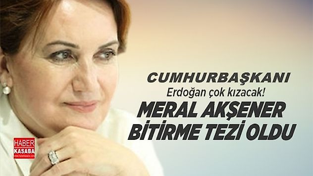Akşener bitirme tezi oldu