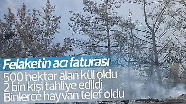 Yangın felaketinin acı faturası ortaya çıktı