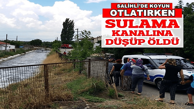 Koyun otlatırken sulama kanalına düştü hayatını kaybetti