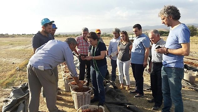 CHP'Lİ BİÇER, 'ÇALIŞTAYA GELİN, ANLATALIM'