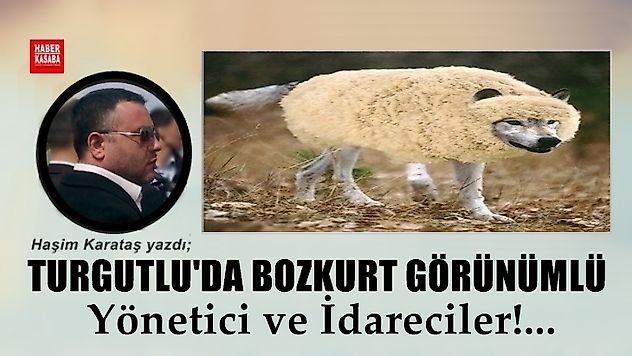 Ülkücü Geçinen, Özde Değil! Sözde Milliyetçiler...