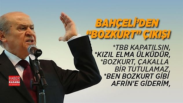 MHP Lideri Bahçeli'den 'Bozkurt' çıkışı