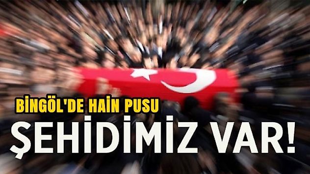 Bingöl'de hain pusu: 1 şehit, 3 yaralımız var