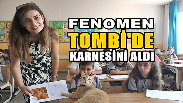 Fenomen kedi Tombi'de kardensini aldı