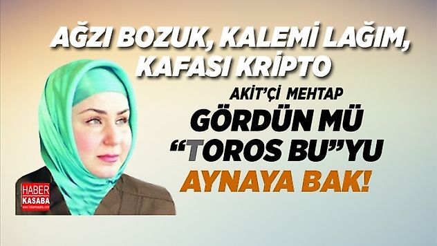 AK Parti'li Şamil Tayyar Akit'ci Mehtap Yılmaz'ın FETÖ maillerini yayınladı
