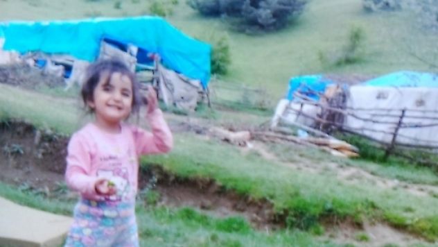 Küçük Evrim'i arama çalışmaları devam ediyor