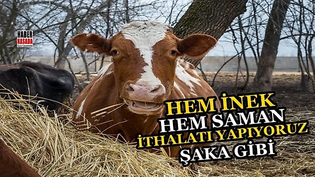 'Kalem kalem 16 yıldır bu arkadaşların yaptığı iyi kötü her şeyi inceledik'