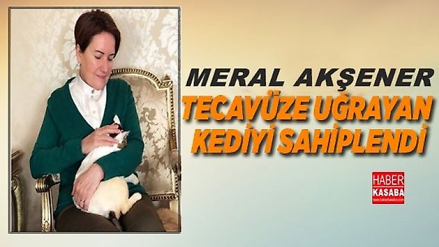 Akşener, tecavüze uğrayan kediyi sahiplendi