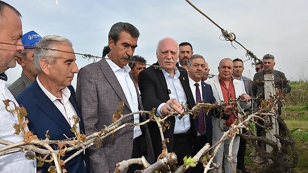 Şemsi Bayraktar,Manisa'da Zirai Don Zararı Gören Alanları İnceledi