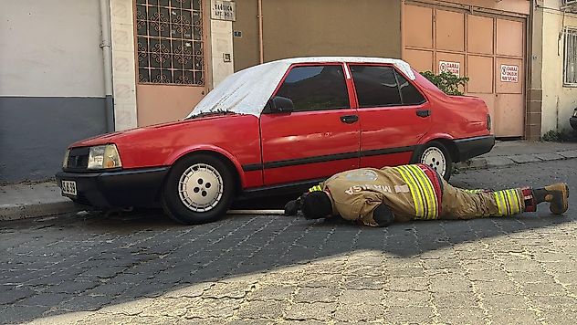Turgutlu'da Yavru Kedi Kurtarma Operasyonu