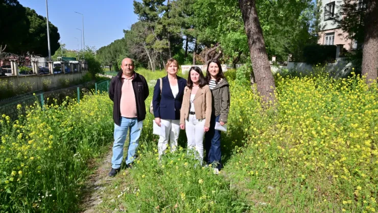 Büyükşehir'den Bozköy Deresi'ne yeni yaşam alanı