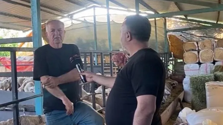 Kurbanlık Fiyatları Belli Oluyor