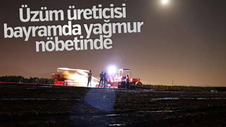 Manisa Ovası'nda üzümler sergide