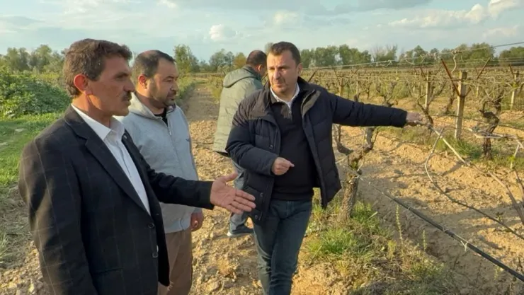 Çiftçilerin Sorunlarını Dinleyen Chp'li Başevirgen İktidara Çağrı 'Manisa Afet Bölgesi İlan Edilsin'