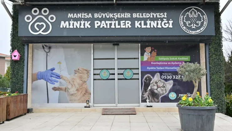 Minik Patiler Kliniği'nde Kısırlaştırılan Kedi Sayısı 3 Bini Geçti