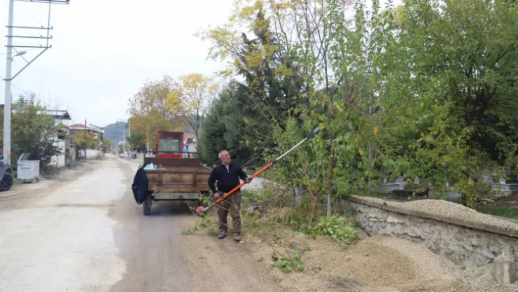 Park ve Bahçeler Müdürlüğü Ekipleri Turgutlu'nun Her Yerinde