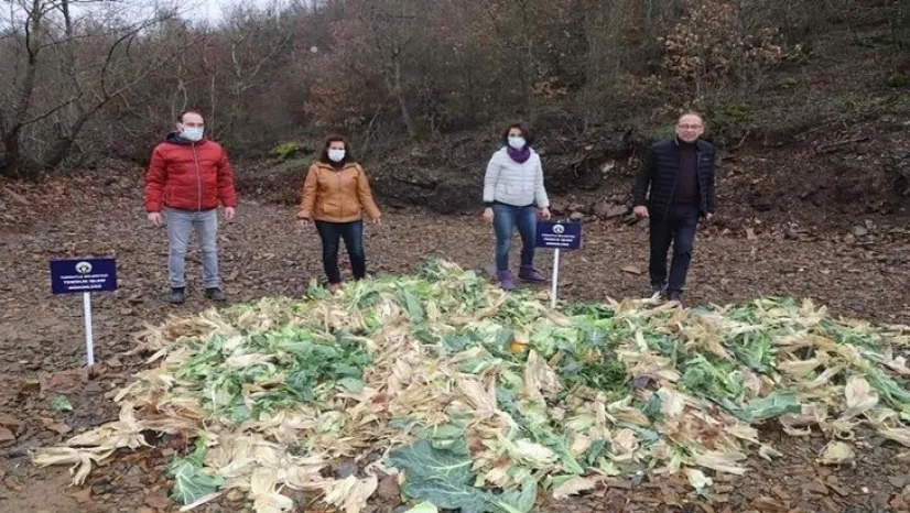 Bitkisel Atıklar Yaban Hayvanlarına Yem Oldu