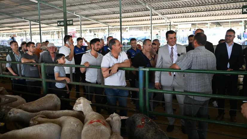 Başkan Zeyrek Canlı Hayvan Borsası'nı Ziyaret Etti