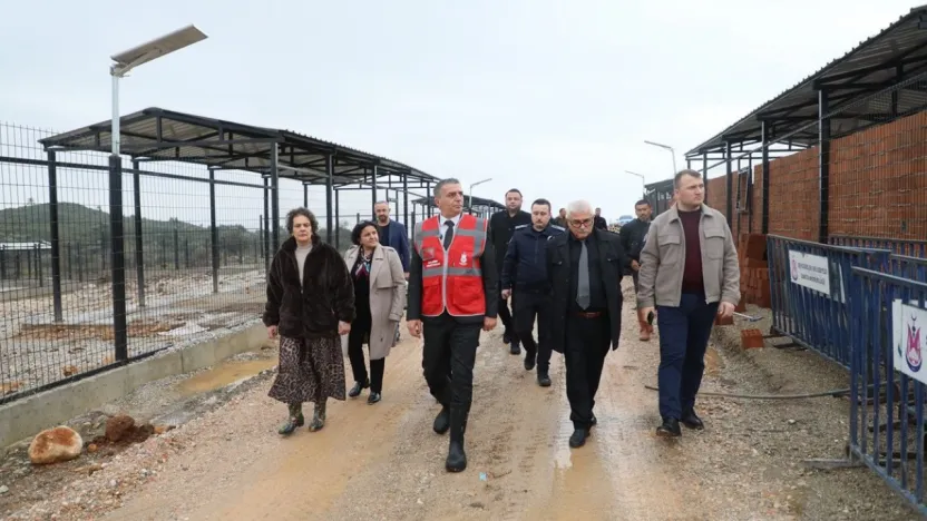 Şehzadeler Belediyesi Hayvan Barınağı Boşaltıldı