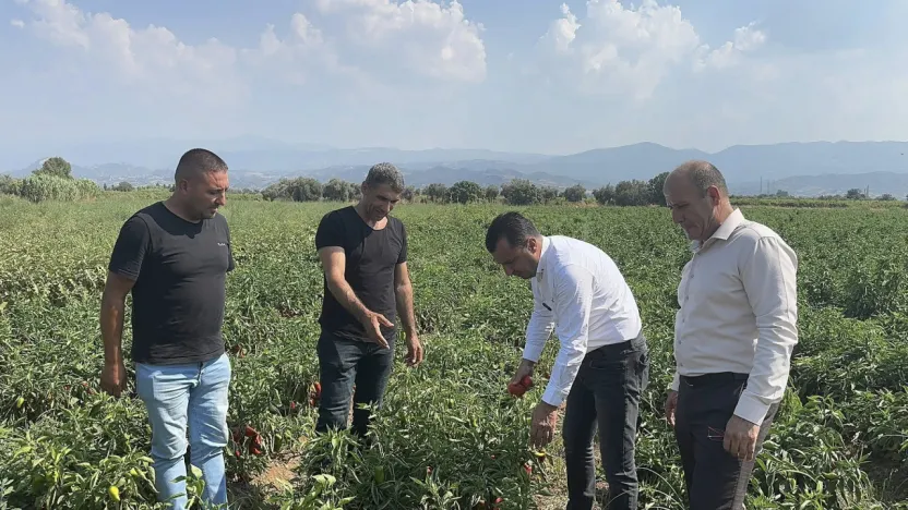 Üretimi Bırakma Noktasına Gelen Çiftçi, CHP'li Başevirgen'e İsyan Etti: 'Bu Düzen Çiftçiyi Bitirir'