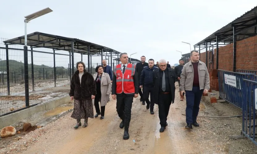 Şehzadeler Belediyesi Hayvan Barınağı Boşaltıldı